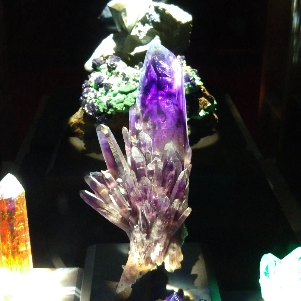 Meet your Posher, Viktoria